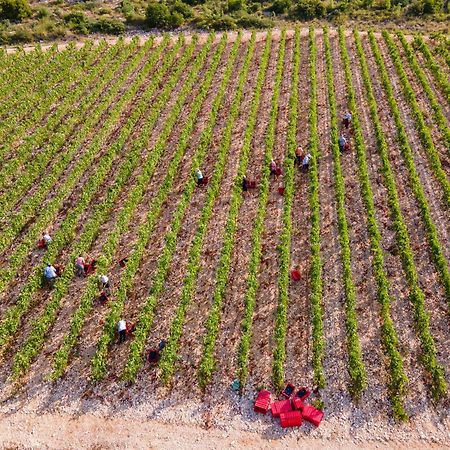 Winery Rizman B&B Slivno Ravno エクステリア 写真